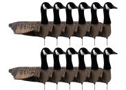 Decoy Sillosocks Canada Goose Standing 12-Pack