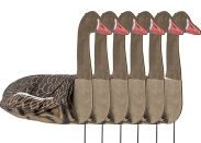 Decoy Sillosocks Pink Foot / Grey-lag Goose Standing 6-Pack