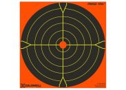 Orange Peel Caldwell sight-in target 12"