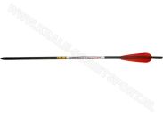 Arrow FX Gold Tip