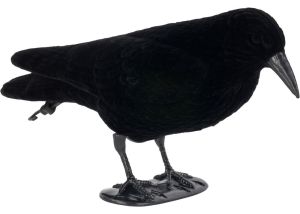 Crow Decoy Flocked Standing