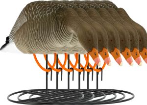 Decoy White-Fronted Goose Flocked Foraging 6-pack